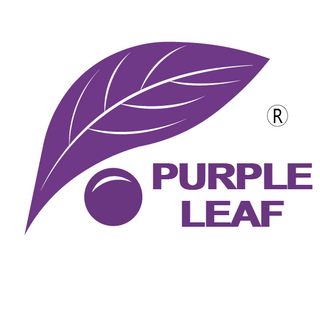 Purple Leaf